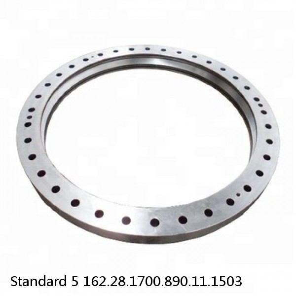 162.28.1700.890.11.1503 Standard 5 Slewing Ring Bearings
