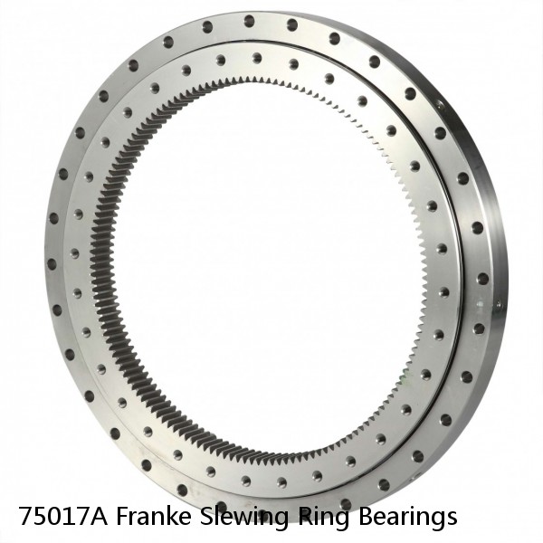 75017A Franke Slewing Ring Bearings
