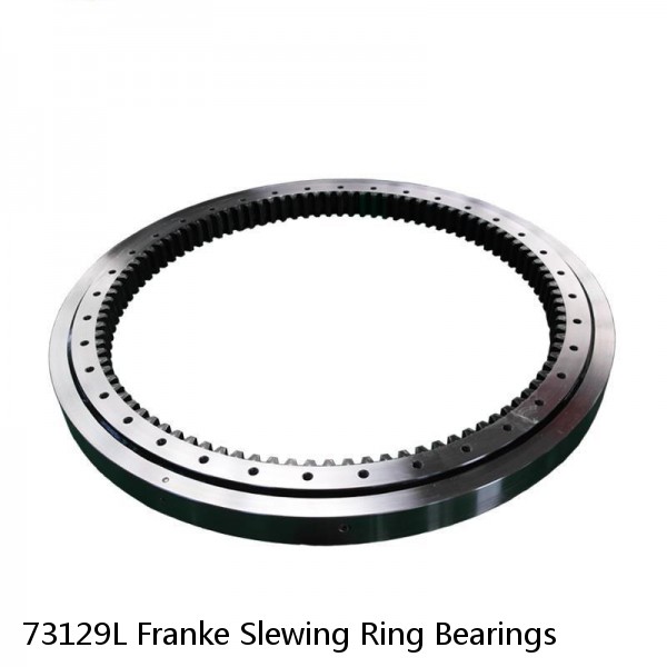 73129L Franke Slewing Ring Bearings