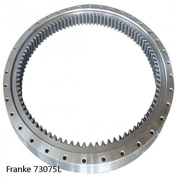 73075L Franke Slewing Ring Bearings