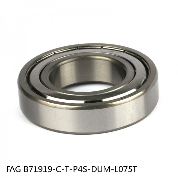 B71919-C-T-P4S-DUM-L075T FAG precision ball bearings