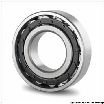 95 mm x 240 mm x 55 mm  FAG NU419-M1  Cylindrical Roller Bearings
