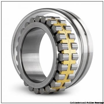 35 mm x 100 mm x 25 mm  FAG NU407-M1  Cylindrical Roller Bearings