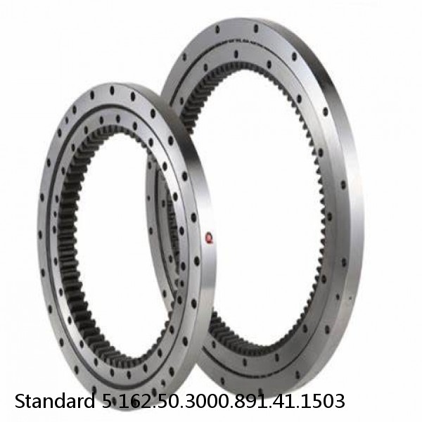 162.50.3000.891.41.1503 Standard 5 Slewing Ring Bearings