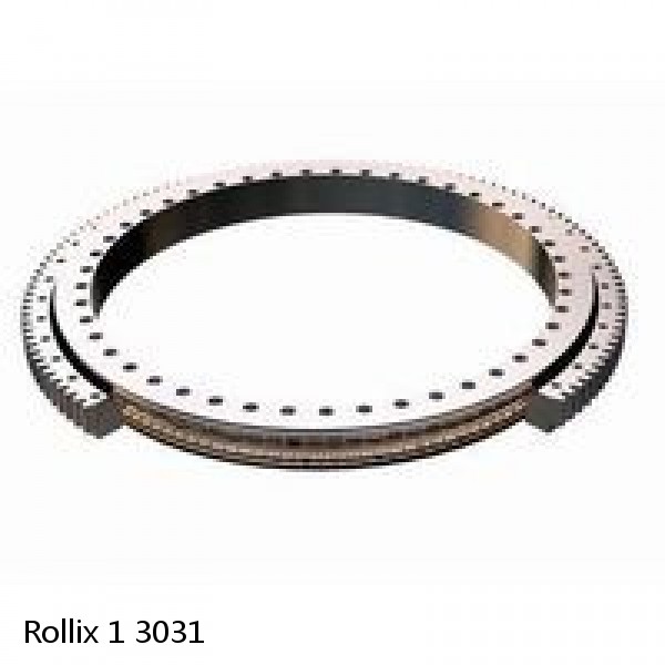 1 3031 Rollix Slewing Ring Bearings