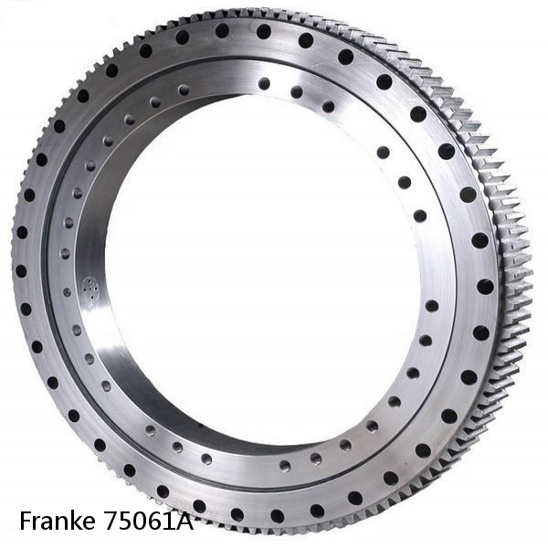 75061A Franke Slewing Ring Bearings