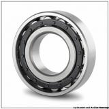 85 mm x 210 mm x 52 mm  FAG NU417-M1  Cylindrical Roller Bearings