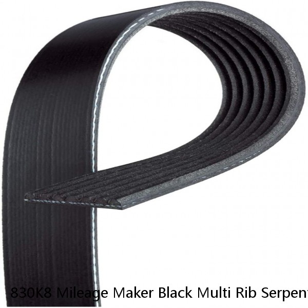 830K8 Mileage Maker Black Multi Rib Serpentine Belt Free Shipping Free Returns