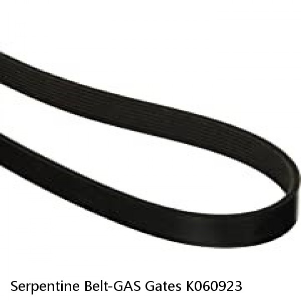 Serpentine Belt-GAS Gates K060923